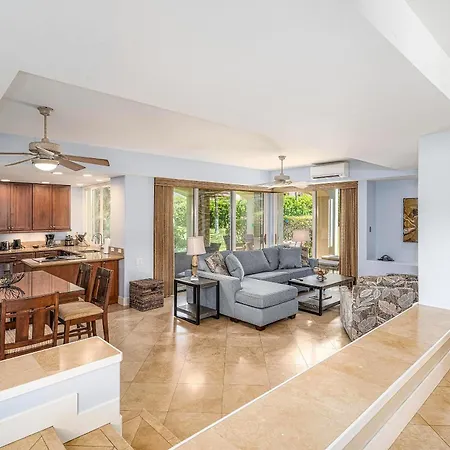 The Palms At Wailea 705 Vila